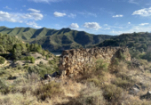 Non-developable land for sale on España, Riba-roja d'Ebre, ref: TR112384 photo