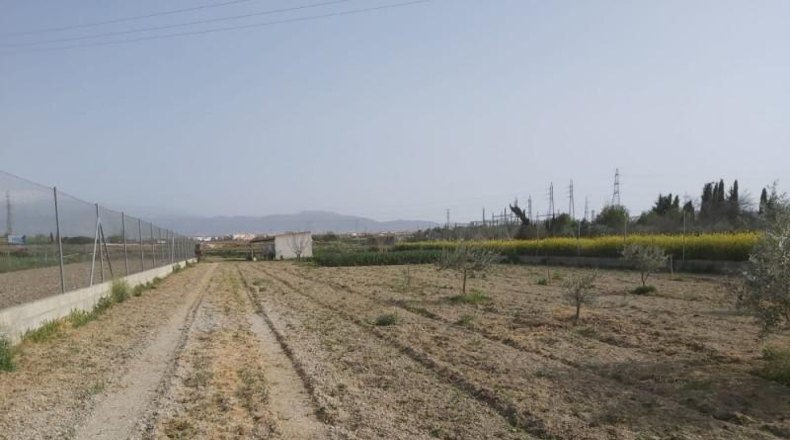 Granada - Los Llanos - 2287m2