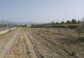 Non-developable land for sale on España, Gabia Grande, ref: TR118238 photo