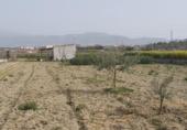 Non-developable land for sale on España, Gabia Grande, ref: TR118238 photo