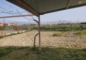 Non-developable land for sale on España, Gabia Grande, ref: TR118238 photo