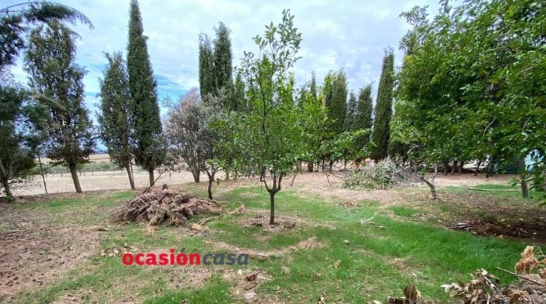 Кордова - Fuente Obejuna - 560m2
