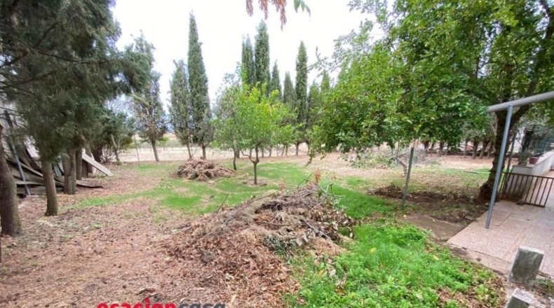 Кордова - Fuente Obejuna - 560m2
