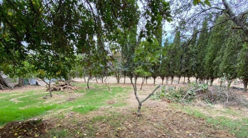 Кордова - Fuente Obejuna - 560m2