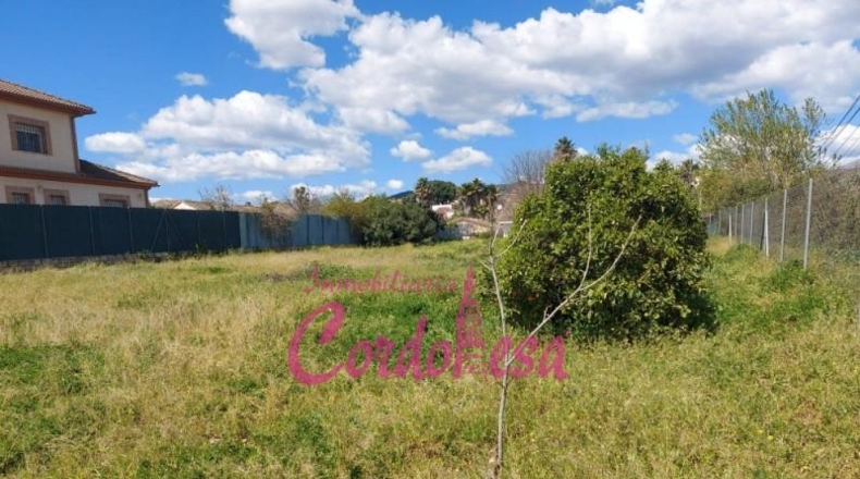 Córdoba - Córdoba - 1500m2