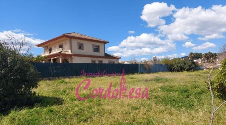 Córdoba - Córdoba - 1500m2
