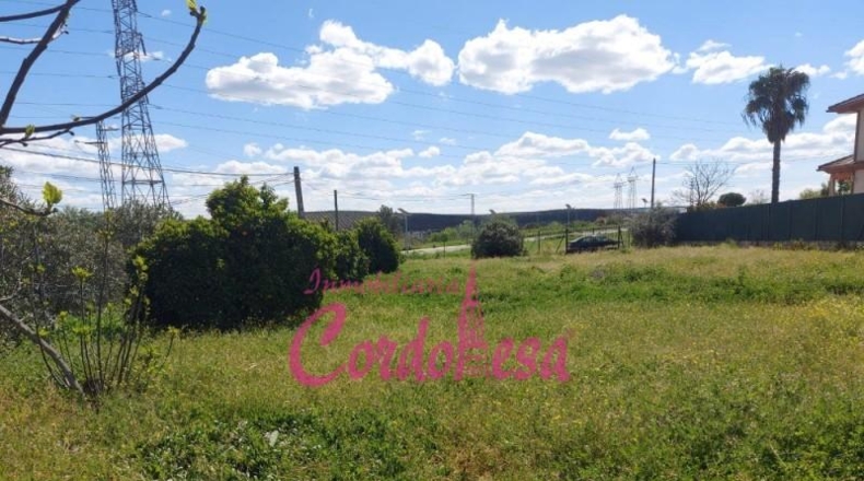 Córdoba - Córdoba - 1500m2