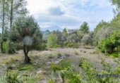 Land for sale on España, Alcalalí, ref: TR300161 photo