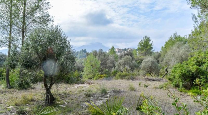 Alicante - Alcalalí - 1900m2