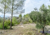Land for sale on España, Alcalalí, ref: TR300161 photo