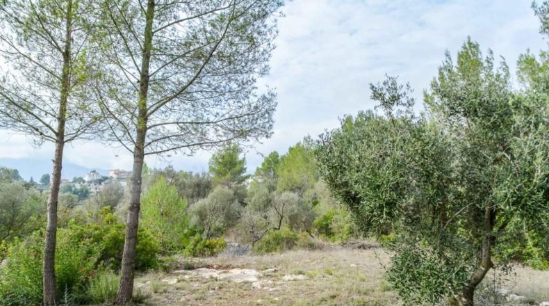 Alicante - Alcalalí - 1900m2