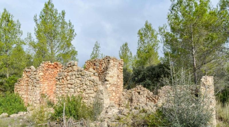 Alicante - Alcalalí - 1900m2
