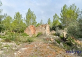 Land for sale on España, Alcalalí, ref: TR300161 photo