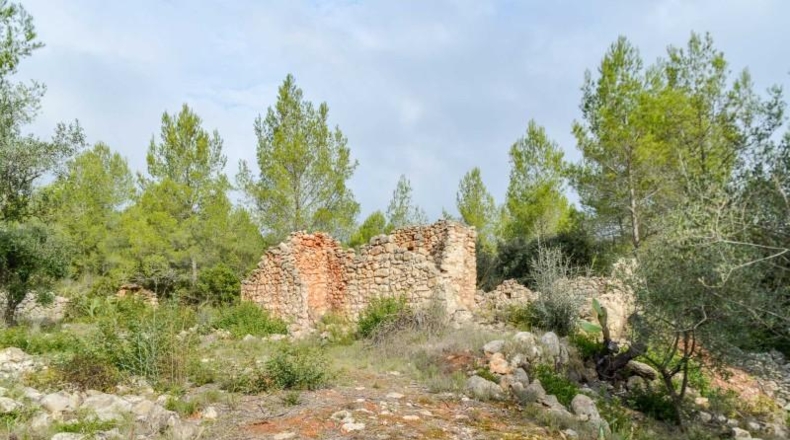 Alicante - Alcalalí - 1900m2