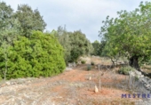 Land for sale on España, Alcalalí, ref: TR300161 photo