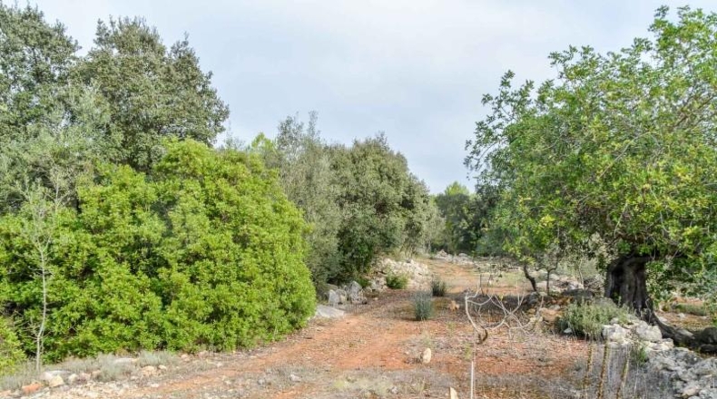 Alicante - Alcalalí - 1900m2