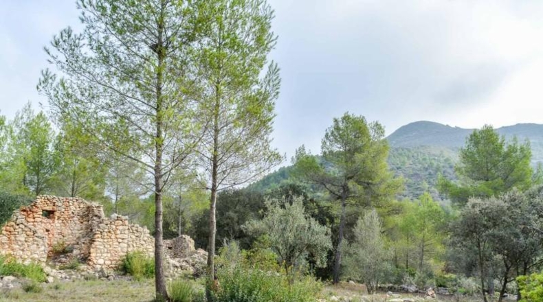 Alicante - Alcalalí - 1900m2