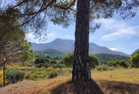 Arnedo 14000&nbsp;м²