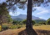 Terreno no urbanizable en venta en la España, Arnedo, ref: TR133841 foto