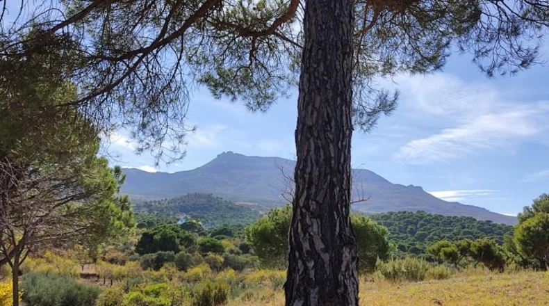 La Rioja - Arnedo - 14000m2