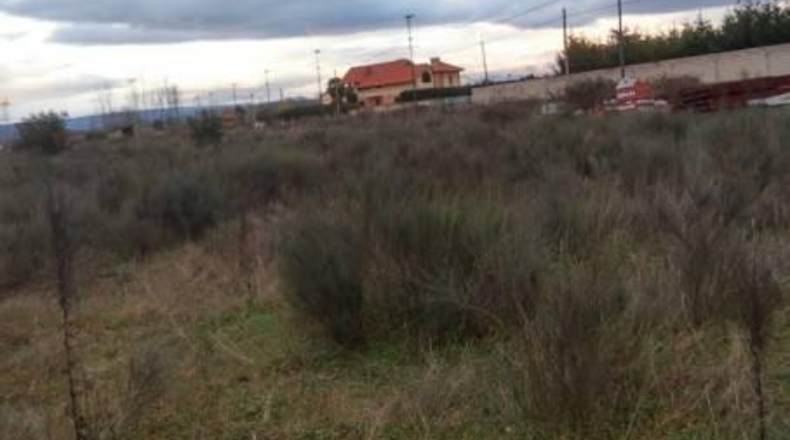 Leon - Carracedelo - 10000m2