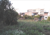Terreny no urbanitzable en venda a la España, Múrcia, ref.: TR114678 foto