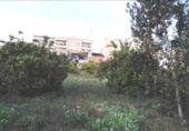 Terreny no urbanitzable en venda a la España, Múrcia, ref.: TR114678 foto