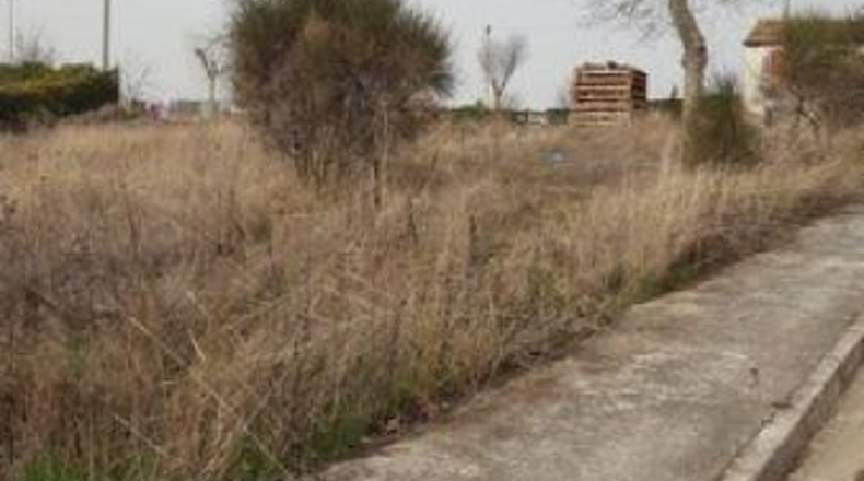 Burgos - Modúbar de la Emparedada - 600m2