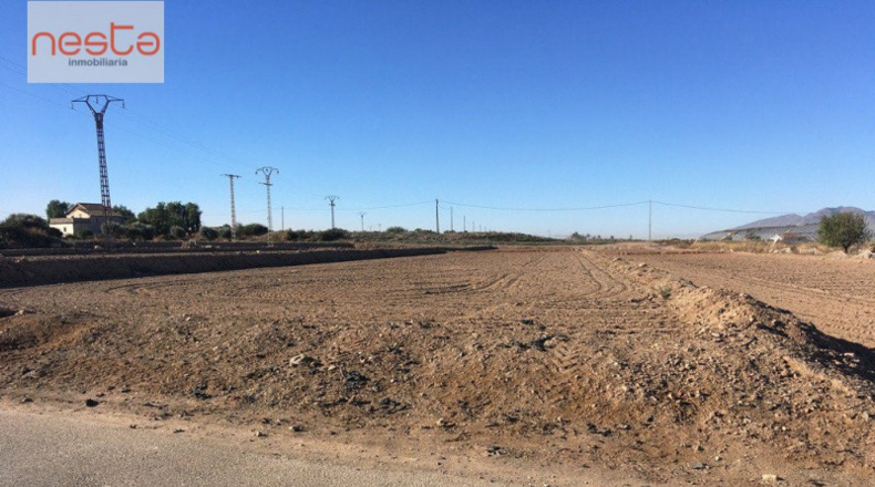 Múrcia - Lorca - 5000m2