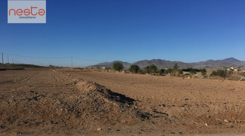 Múrcia - Lorca - 5000m2