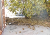 Village house for sale on España, Almansa, ref: TR294875 photo