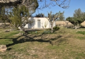 Parcel·la urbanitzable en venda a la España, l'Olleria, ref.: TR353254 foto