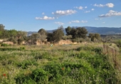 Parcel·la urbanitzable en venda a la España, l'Olleria, ref.: TR353254 foto