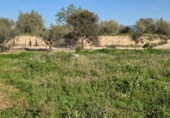 Parcel·la urbanitzable en venda a la España, l'Olleria, ref.: TR353254 foto
