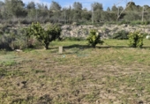 Parcel·la urbanitzable en venda a la España, l'Olleria, ref.: TR353254 foto
