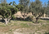Parcel·la urbanitzable en venda a la España, l'Olleria, ref.: TR353254 foto