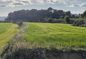 Parcel·la urbanitzable en venda a la España, l'Olleria, ref.: TR353254 foto