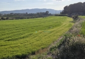 Parcel·la urbanitzable en venda a la España, l'Olleria, ref.: TR353254 foto