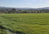 Parcel·la urbanitzable en venda a la España, l'Olleria, ref.: TR353254 foto