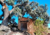 Chalet independiente con terreno en venta en la España, La Portellada, ref: TR297816 foto