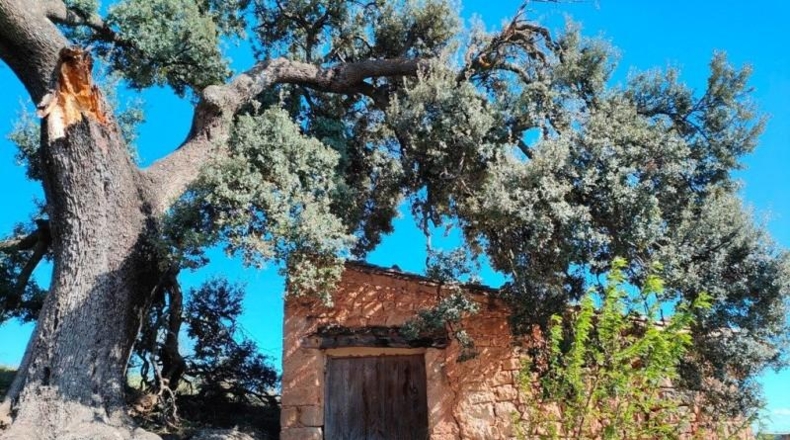 Teruel - La Portellada - 18391m2