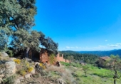 Chalet independiente con terreno en venta en la España, La Portellada, ref: TR297816 foto