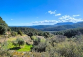 Chalet independiente con terreno en venta en la España, La Portellada, ref: TR297816 foto