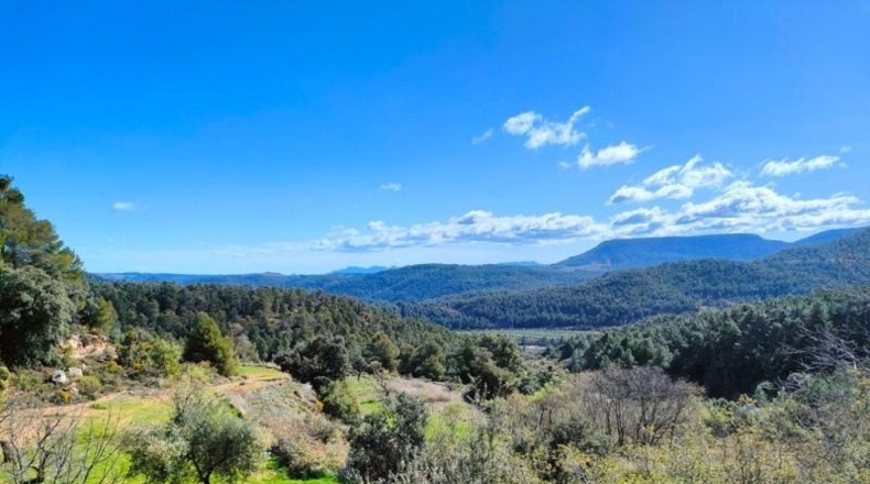 Teruel - La Portellada - 18391m2