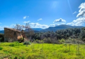 Chalet independiente con terreno en venta en la España, La Portellada, ref: TR297816 foto