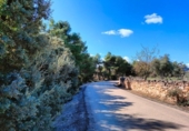 Chalet independiente con terreno en venta en la España, La Portellada, ref: TR297816 foto