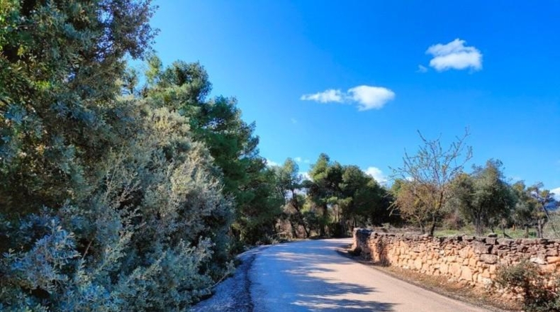 Teruel - La Portellada - 18391m2