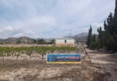 Terreny no urbanitzable en venda a la España, Novelda, ref.: TR128374 foto