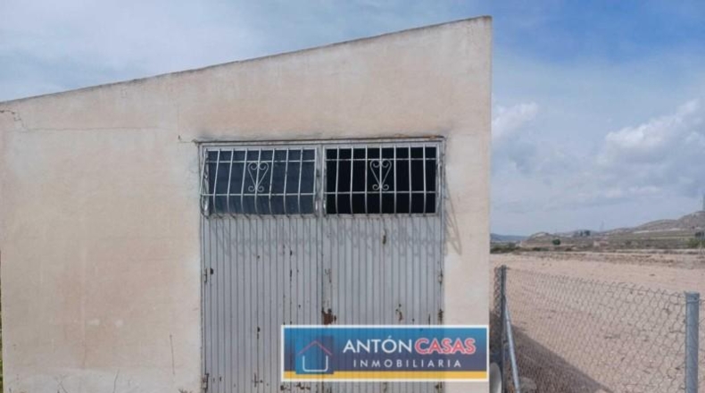 Alicante - Novelda - 14334m2