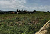 Casa amb terreny en venda a la España, Múrcia, ref.: TR314636 foto